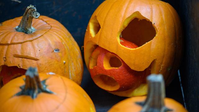 Halloween: Wo man sich in Sachsen-Anhalt erschrecken lassen kann