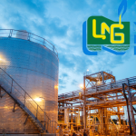 NLNG Launches The Nigeria Prize for Creative Arts