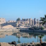 Research roundup: 6 cool science stories we almost missed