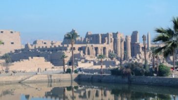 Research roundup: 6 cool science stories we almost missed