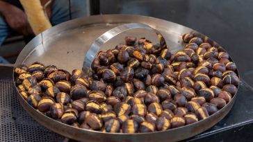 Perché le castagne costano di meno nell’autunno 2025 e quando conviene comprarle