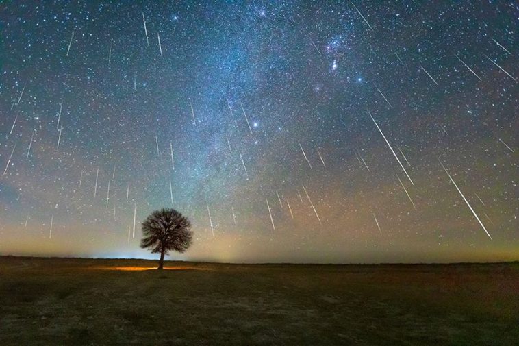 How to Watch the Leonids Meteor Shower