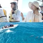 Watch: Jung Jun Won, Kang You Seok, Lee Soo Ji, And Kim Ah Young Enjoy A Dolphin Swim After A Day Of Hard Work In New Variety Show
