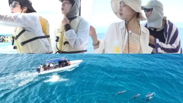 Watch: Jung Jun Won, Kang You Seok, Lee Soo Ji, And Kim Ah Young Enjoy A Dolphin Swim After A Day Of Hard Work In New Variety Show