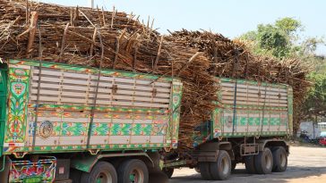 Balrampur Chini’s Avantika Saraogi says India’s first PLA bioplastics plant to start operations by October 2026