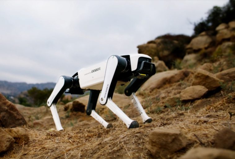 Dobot Rover X1 robot dog costs the equivalent of around $1,000, can carry shopping bags and guard the house