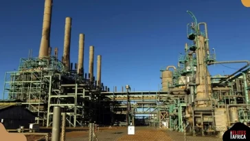 New Challenge for Dangote? The Team Building a 500,000-Barrel Refinery in Ondo