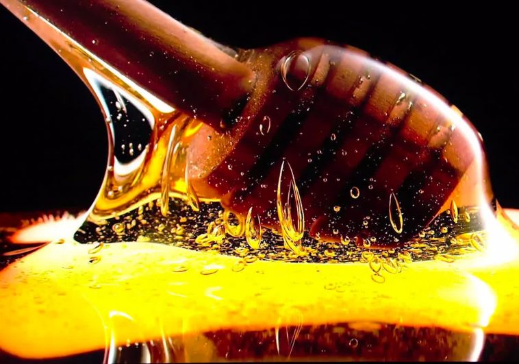 What is HDR? High Dynamic Range, Explained