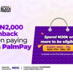 Donât Just Shop This Black Friday, Get Rewarded with PalmPay & Jumia!