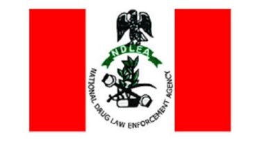 NDLEA discovers cocaine inside passengers’ boxers, luggage