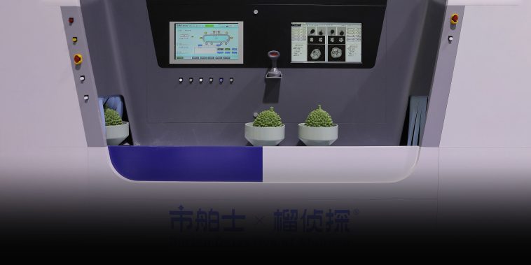 Use Your Coconut: Farm Tech Steals the Show at CIIE