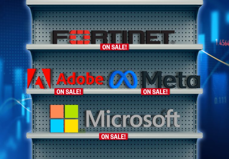 These 13 tech stocks have grown profits rapidly — and they’re still on sale