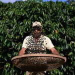 Trump Reverses Tariffs On Coffee, Bananas And Other Foods In Response As Prices Soar