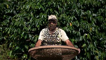 Trump Reverses Tariffs On Coffee, Bananas And Other Foods In Response As Prices Soar