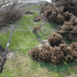 Drones linked to AI used to help fix power grids