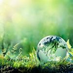 Sustainability Snippets: Ajinomoto goals, Japan pricing and more