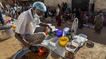 Sudan: Sudan Grassroots Aid Groups Awarded 2025 Chatham House Prize