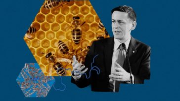 The Download: the future of AlphaFold, and chatbot privacy concerns