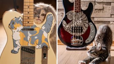 “It was the overwhelming reaction to my very first cat-themed pickguard, the Telecat, that gave me the final push to launch on Etsy”: Cat lovers, rejoice – this bassist is creating custom pickguards in the shape of your cat