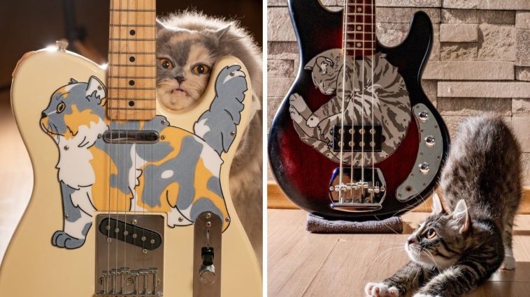 “It was the overwhelming reaction to my very first cat-themed pickguard, the Telecat, that gave me the final push to launch on Etsy”: Cat lovers, rejoice – this bassist is creating custom pickguards in the shape of your cat