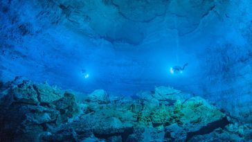 Undisturbed for Millennia, This Submerged Cave Is a Portal to the Ice Age