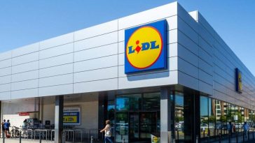 Ni horno ni freidora de aire: Lidl lanza un nuevo electrodoméstico que asa y gratina y cuesta menos de 20 euros