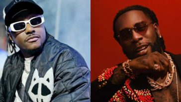 Terry G defends Burna Boy over viral ‘sleeping fans’ incident