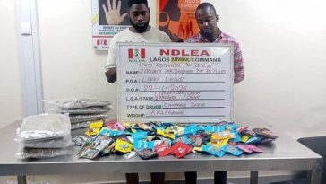 Two arrested as NDLEA uncovers illicit drugs packaged as Christmas cookies in Lagos