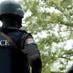 Police arrest woman for allegedly burning maidâs private part in Imo