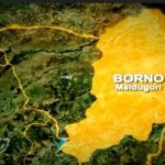 IED explosion k!lls four children in Borno