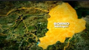 IED explosion k!lls four children in Borno