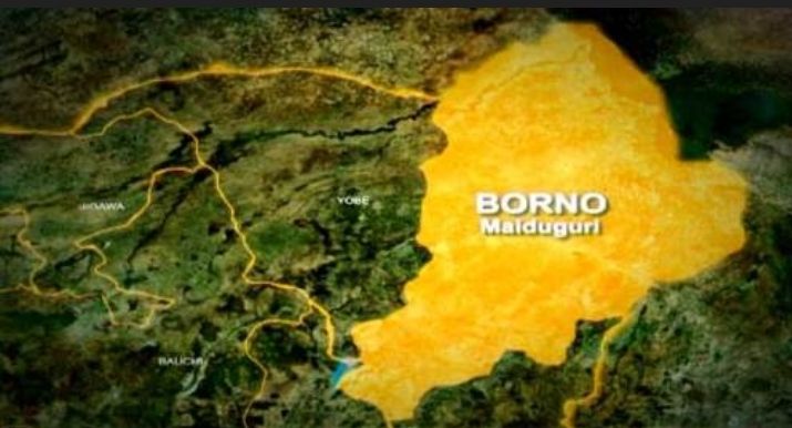 IED explosion k!lls four children in Borno