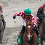 Hastings Racecourse in Vancouver to shut down permanently, operator says