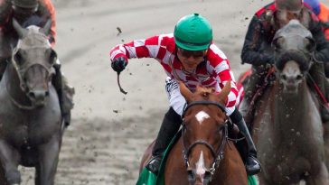 Hastings Racecourse in Vancouver to shut down permanently, operator says