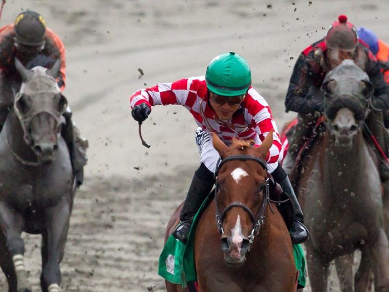 Hastings Racecourse in Vancouver to shut down permanently, operator says