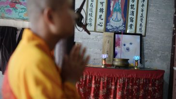 Can Chinese Temples Help the Souls of Dead Pets? It’s Complicated