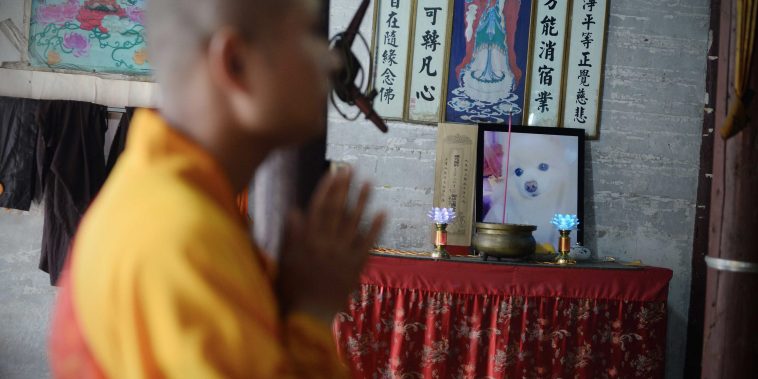 Can Chinese Temples Help the Souls of Dead Pets? It’s Complicated